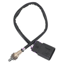 画像をギャラリービューアに読み込む, Sorghum 4016021 Oxygen Sensor Fit for Polaris RZR XP 1000 Ranger Sportsman